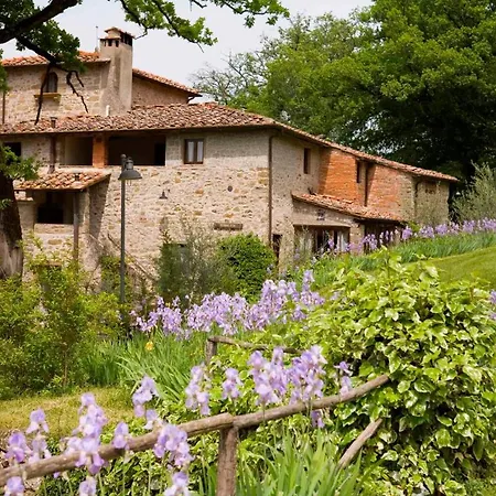 Homes In - Toskana 42338 Pelago